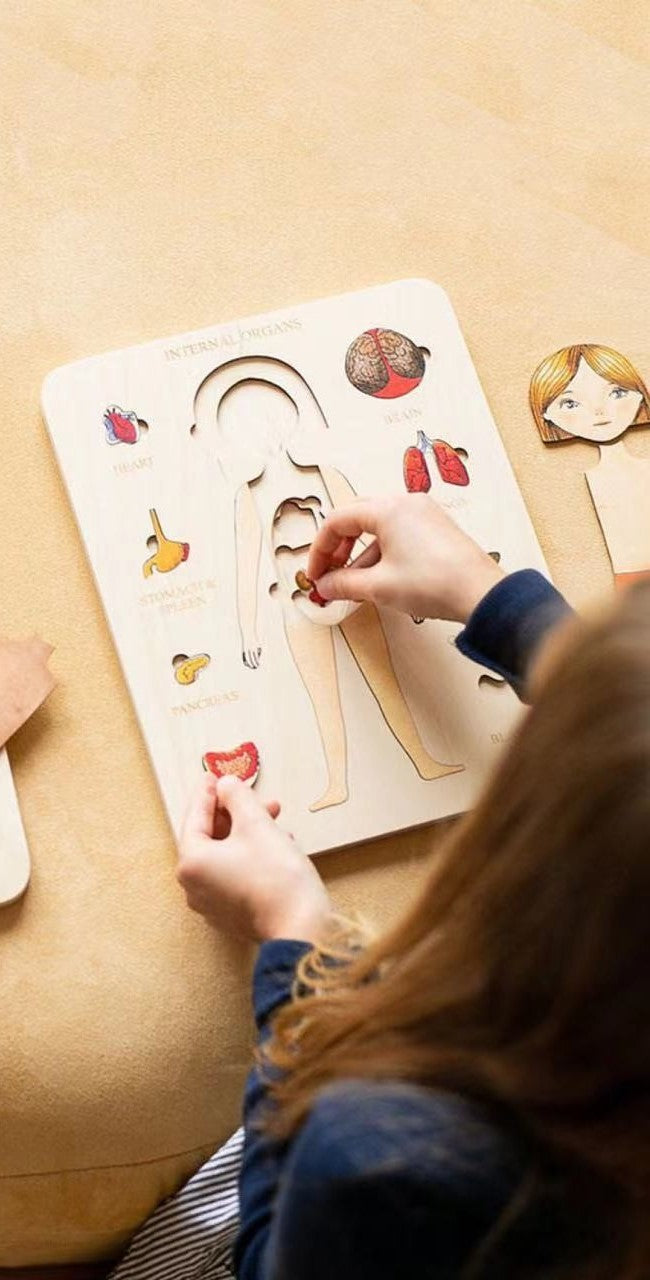 Body Parts Educational Puzzle - Montessori Wooden Human Anatomy Puzzle - Internal Organs Puzzle