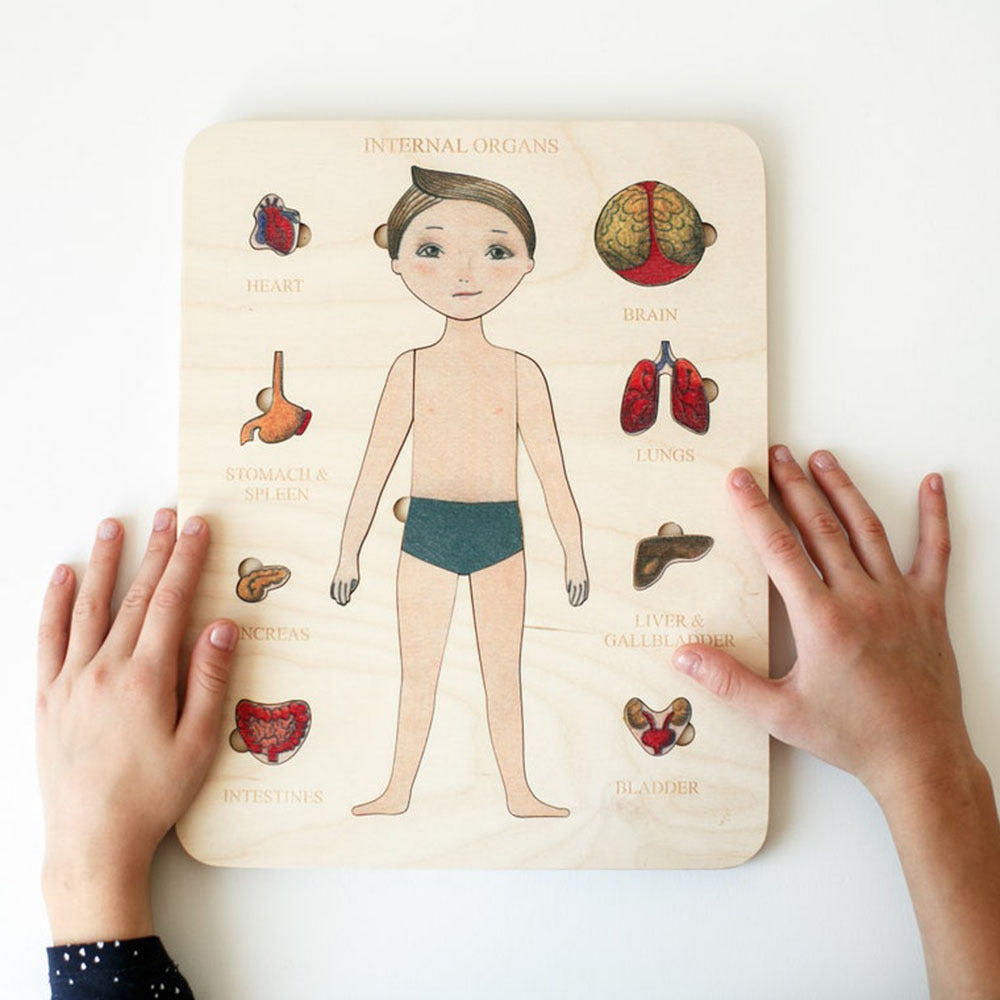 Body Parts Educational Puzzle - Montessori Wooden Human Anatomy Puzzle - Internal Organs Puzzle