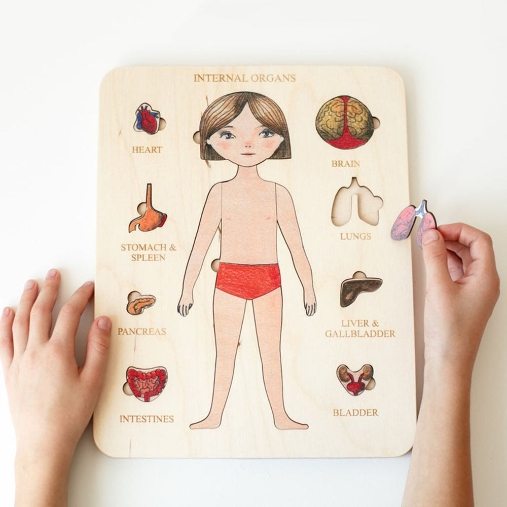 Body Parts Educational Puzzle - Montessori Wooden Human Anatomy Puzzle - Internal Organs Puzzle