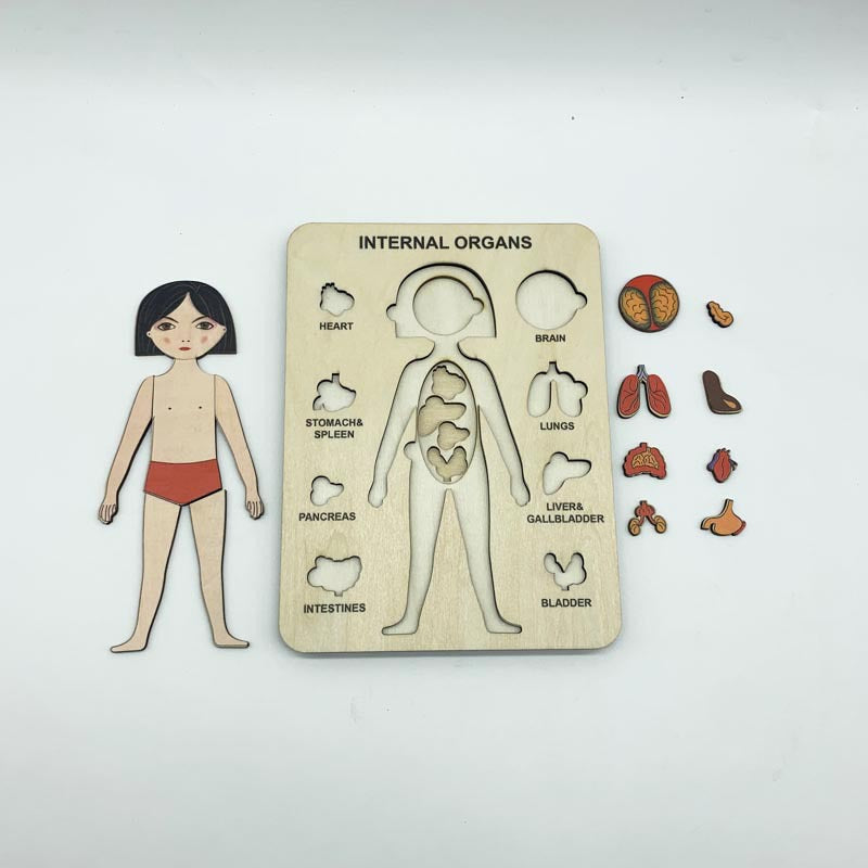 Body Parts Educational Puzzle - Montessori Wooden Human Anatomy Puzzle - Internal Organs Puzzle